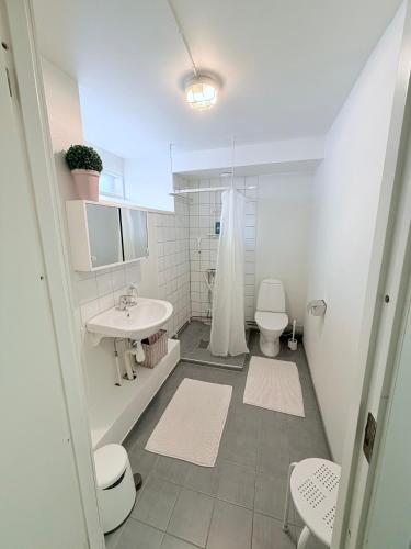 a bathroom with a toilet and a sink at CentRum turistlogi in Borås