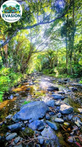 a painting of a creek with rocks and trees at EVASION Bungalow d'Antan Spa in Sarraméa