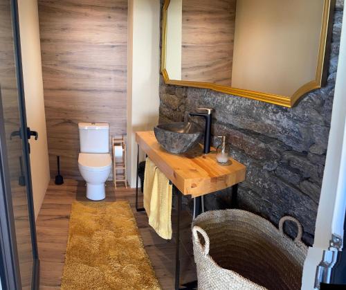 a bathroom with a sink and a toilet at Retiro Vale do Douro in Vila Marim