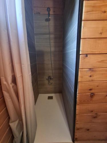 a walk in shower with a glass door in a bathroom at La Cabaña Rural in Paúl