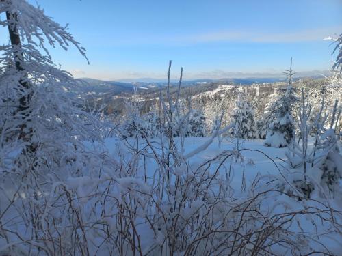 Zlatá Olešnice, pomezí Jizerek a Krkonoš