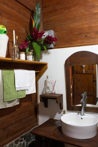 a bathroom with a sink and a mirror at The Hummingbird house, Costa Rica in Atenas