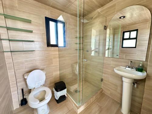 a bathroom with a toilet and a sink and a shower at Alojamientos Xolotl in La Concepción