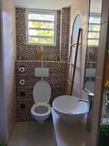 a bathroom with a toilet and a sink and a window at La Parenthèse Verte à ducos in Ducos
