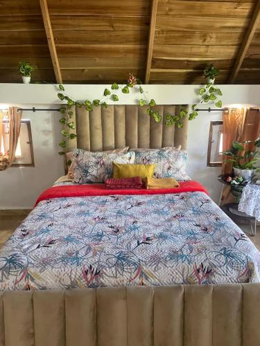a bedroom with a large bed with a large bedspread at Dreamvilles Ecovillage Bed and Breakfast near Playa Aserradero in Las Galeras