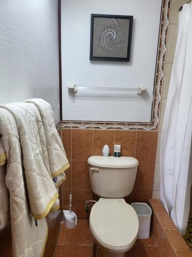 プレイセンシア・ビレッジにあるPlacencia Oasisの白いトイレと鏡のあるバスルーム