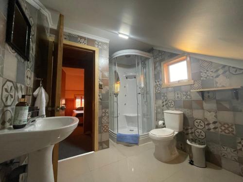 a bathroom with a shower and a toilet and a sink at Oikos Arriendos in Futrono