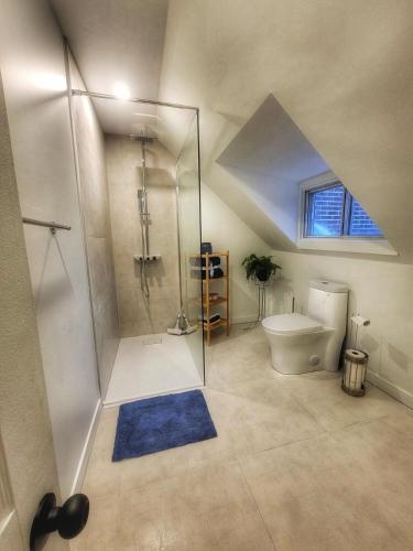 a attic bathroom with a shower and a toilet at La Pergola-3 in Quebec City