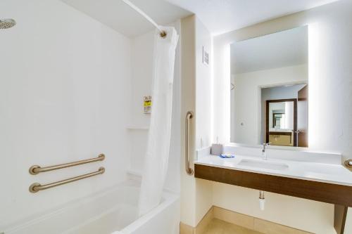 a bathroom with a tub and a sink and a mirror at Holiday Inn Express & Suites Custer-Mt Rushmore in Custer