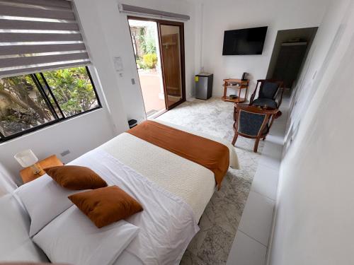 a bedroom with a bed and a couch and a window at Maytenus Galapagos in Puerto Ayora