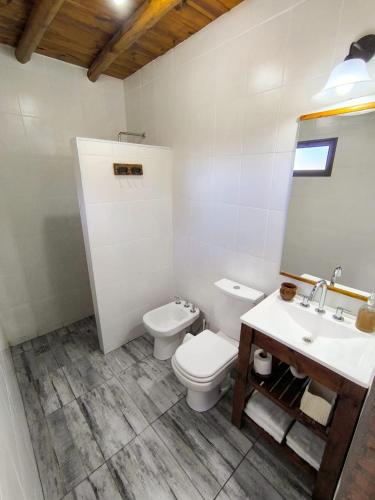 a bathroom with a toilet and a sink at Kuntur Casas de Campo in Mina Clavero