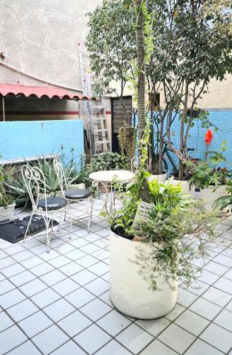 a patio with a table and chairs and potted plants at El Pino - Hotel Economico Guadalajara in Guadalajara