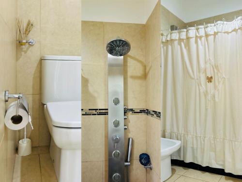 two pictures of a bathroom with a toilet and a shower at LA ESQUINA DE LA FLOR in Campo Quijano
