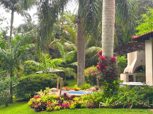a garden with flowers and a palm tree at La Mancha - luxurious Mediterranean styled home in Southbroom