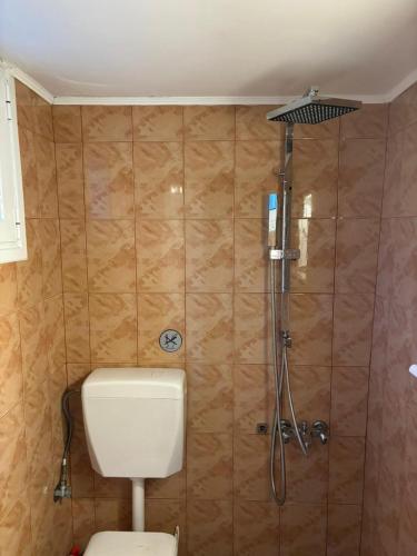 a bathroom with a shower and a toilet in it at Aegean Window - Sea View Studio in Salamina