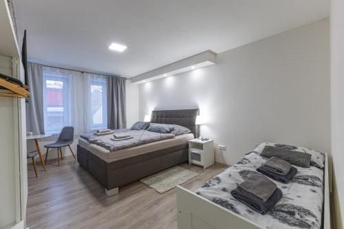 a bedroom with two beds and a desk and a chair at Apartmán U Zlaté hroudy in Zlaté Hory
