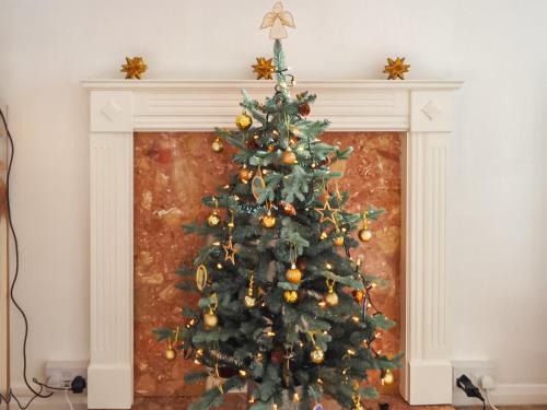 a christmas tree in front of a fireplace at Galley Hill Aspect in Bexhill