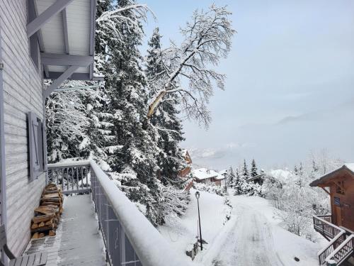 Chalet Courchevel La Tania - 14 personnes - 7 chambres 7 salles de bains - 40 m des pistes
