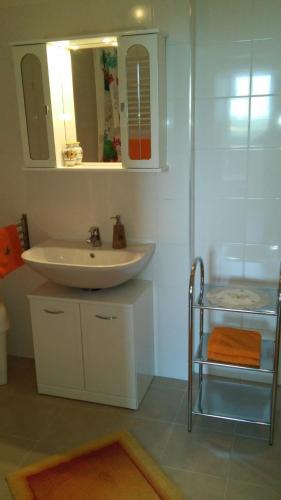 a bathroom with a sink and a mirror at Nordrand-Apartment in Vienna