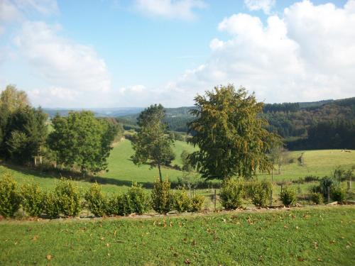 a green field with trees in a field at FILD - Holiday Apartment in Saint-Vith