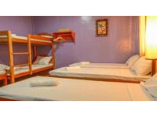 a room with three bunk beds in a room at OYO 622 Butterfly Totem Guesthouse in Puerto Princesa City