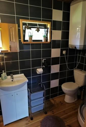 a bathroom with a toilet and a sink at Kruklanki Domek in Kruklanki