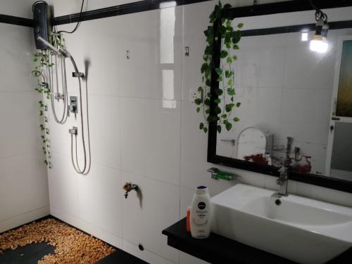 a bathroom with a sink and a mirror at Green View in Ambalangoda