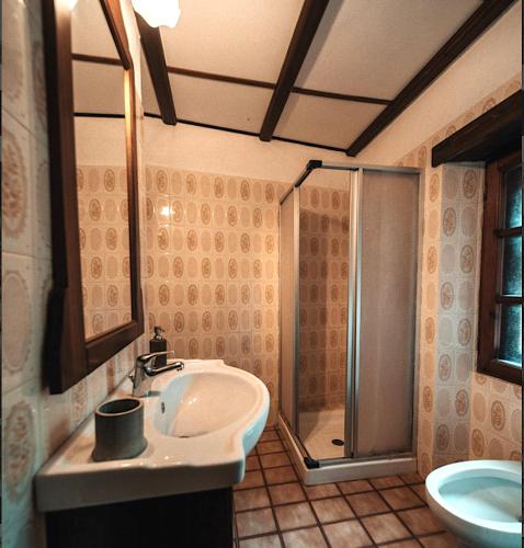 a bathroom with a sink and a shower at Casa Dolce Vita in Pigna