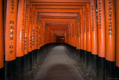 a corridor of orange torii gates in a shrine at カモンイン 稲荷 in Kyoto