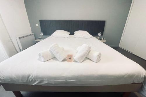 Bright studio in Toulouse for a pleasant stay
