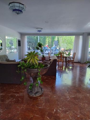 EL Estudio de Nahuel