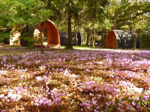 Zahrada ubytování La Rossignolerie - POD Cabanes des châteaux