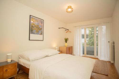 Central 2-bed flat in city center with BaselCard