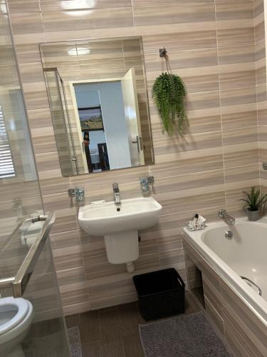 a bathroom with a sink and a toilet and a mirror at Alendo Apartments in Johannesburg