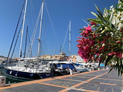 Marina Dream
