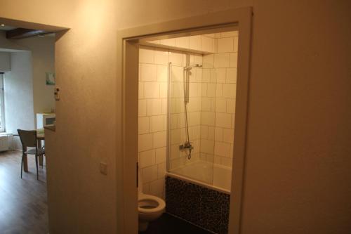 a bathroom with a shower and a toilet and a tub at Ferienappartement Archimedes in Walkenried