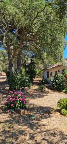 Villa pour4 pers à 700m de la plage de palombaggia