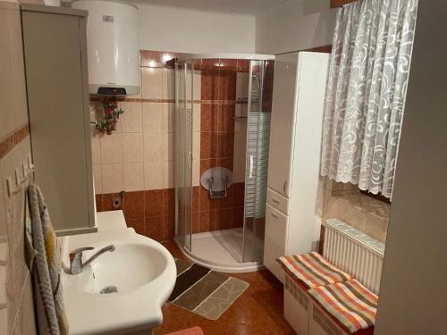 a bathroom with a shower and a sink at Apartmán Votoček in Rokytnice nad Jizerou