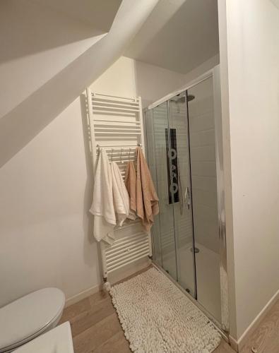 a bathroom with a shower and a toilet at Maison moderne entre terre et mer in Coquelles