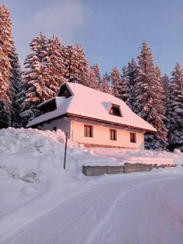 Studios Šumska Kuća 2 & 3