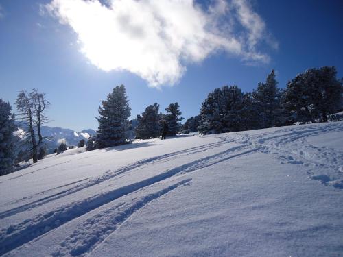 a snow covered hill with footprints in the snow at Apart Jakob in Schwendau