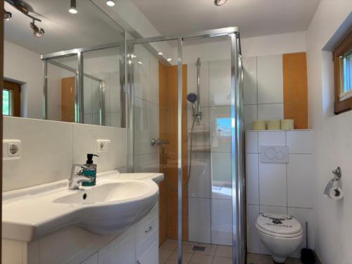 a bathroom with a sink and a shower and a toilet at Ottls Huette in Sankt Lorenzen ob Murau