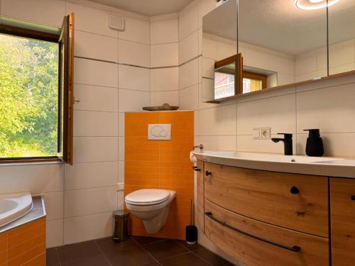 a bathroom with a toilet and a sink and a mirror at Wind Buam Huette in Sankt Lorenzen ob Murau
