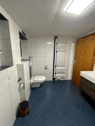a bathroom with a toilet and a sink at Apart Neunerhof in Jerzens