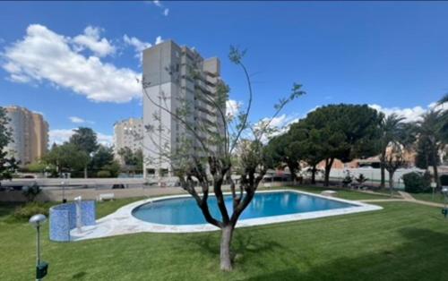 Apartamento Jacaranda