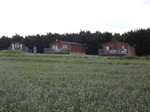 two houses in a field with a field of flowers at Avonvale Holiday Lodges, your home from home on the edge of THE COTSWOLDS in Evesham