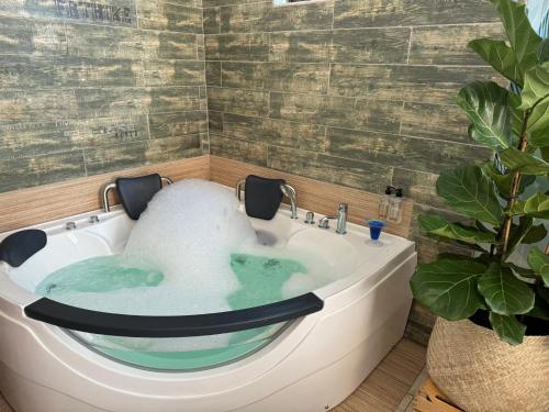 a tub in a bathroom with a plant at Africa Prestige Boutique Hotel in Benoni