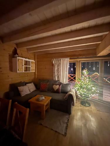 Osada na Skale dom z prywatną sauną i kominkiem
