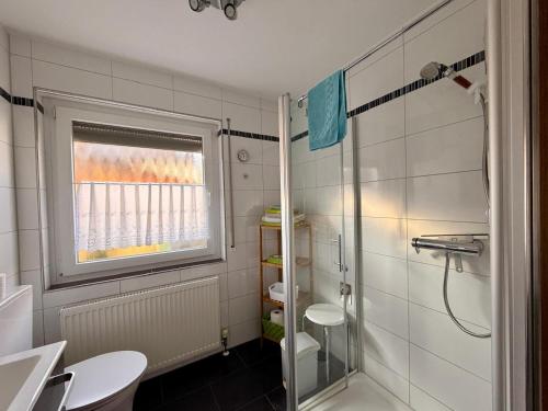 a bathroom with a shower and a toilet and a window at Ferienwohnung Karolus in Sinsheim