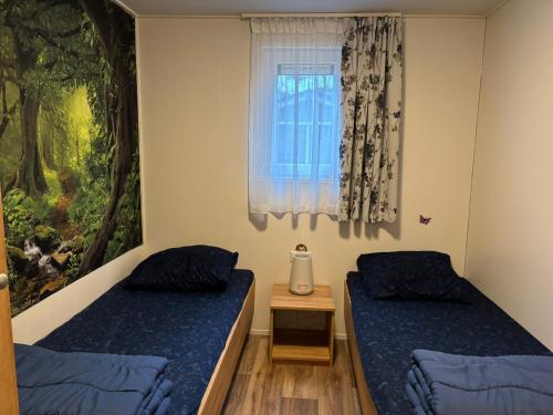 a bedroom with two beds and a window at Bospark Wolfsven - 1511 in Mierlo